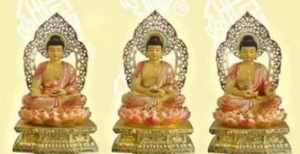 婆罗门教是不是原始佛教 历史上达摩到底活了多少岁呢