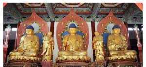 佛法与净心 河南哪个寺庙可以短暂居住