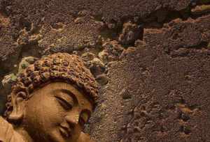 葵花在佛教中象征意义，有什么含义 从科学角度解答佛家的“空”，该怎么表述